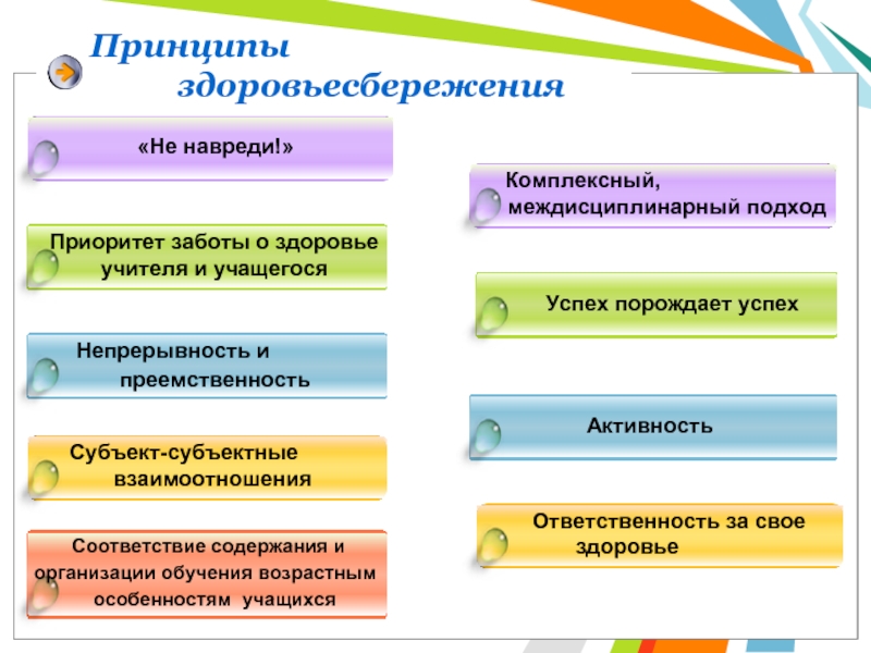 Принцип н. Принципы здоровьесбережения по Смирнову н.к. Принципы здоровьесберегающих технологий. Принципы здоровьесберегающих технологий в образовании. Принципы здоровьесбережения Смирнова.