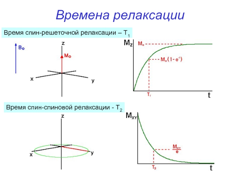 Релаксация процесс. ЯМР релаксация. Релаксационные процессы. Время релаксации. Время релаксации ЯМР.