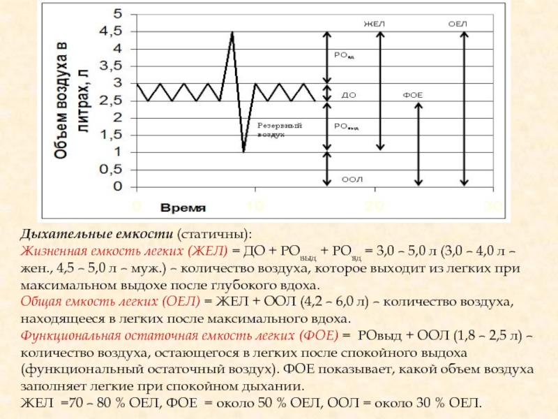Функциональная остаточная. Функциональная остаточная емкость. Функциональная остаточная емкость легких. Жизненная емкость легких график. Функциональный остаточный объем.