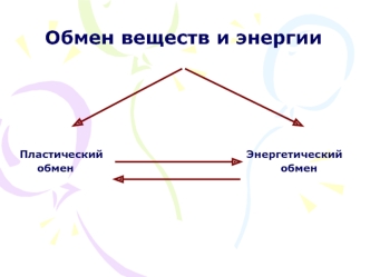 Обмен веществ и энергии






Пластический                                         Энергетический
     обмен                                                           обмен