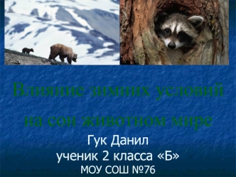 Влияние зимних условий на сон животном мире          Гук Данилученик 2 класса БМОУ СОШ №76