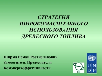 СТРАТЕГИЯШИРОКОМАСШТАБНОГО ИСПОЛЬЗОВАНИЯДРЕВЕСНОГО ТОПЛИВА