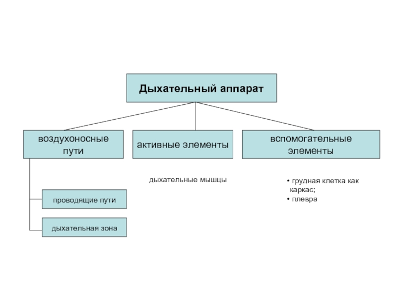 Активные элементы