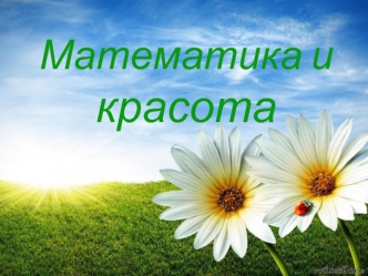 Математика и красота