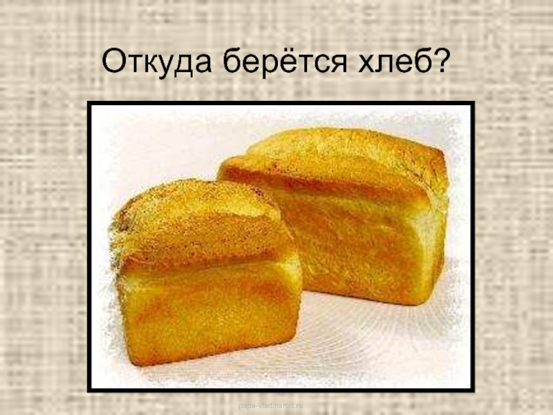 Откуда берётся хлеб?  papa-vlad.narod.ru