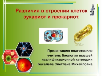 Различия в строении клеток эукариот и прокариот.