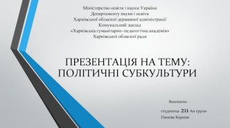 Політичні субкультури