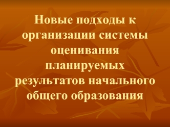 Новые подходы к организации системы оценивания планируемых результатов начального общего образования