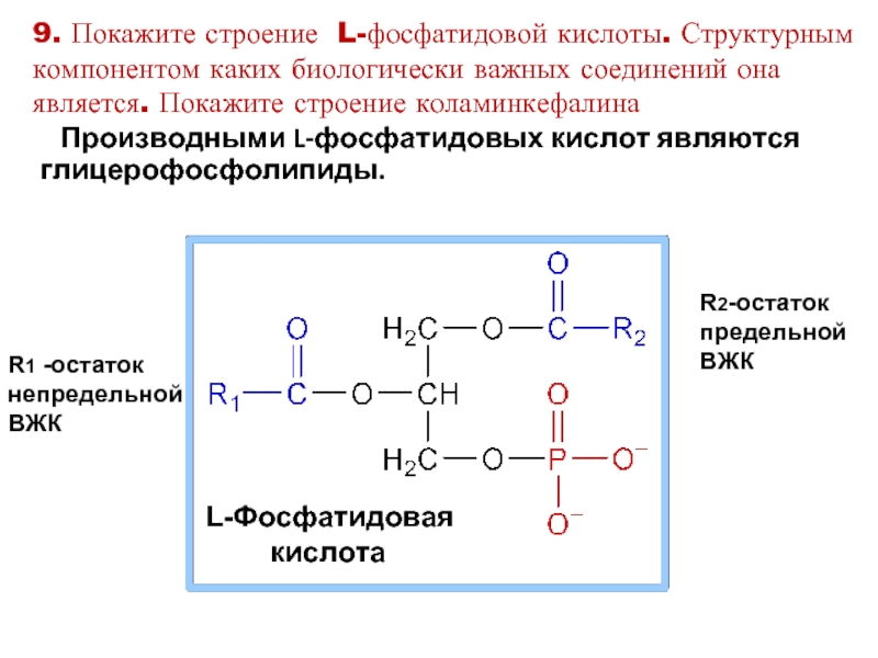 Схема образования фосфатидной кислоты содержащей остатки арахиновой и олеиновой кислот