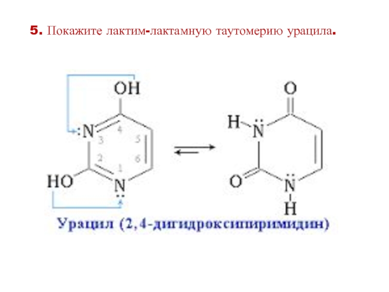 Схема таутомерных превращений гуанина - 88 фото
