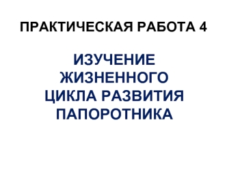 Практическая работа. Изучение цикла развития папоротника