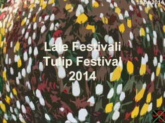 Lale Festivali
Tulip Festival
2014