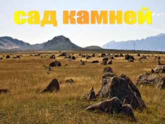 сад камней