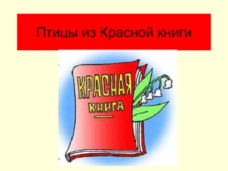 Птицы из Красной книги