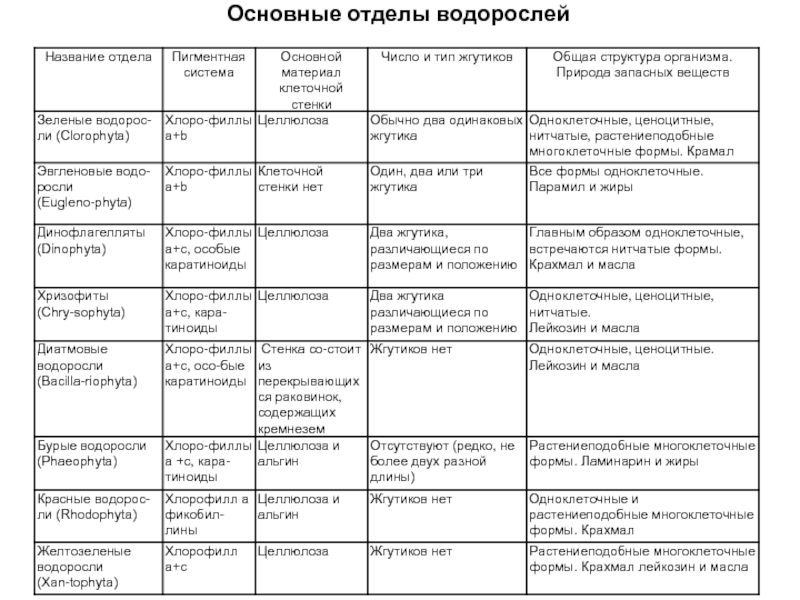 Заполните таблицу водорослей. Сравнительная характеристика отделов водорослей таблица 7 класс. Общая характеристика отделов водорослей таблица. Отделы водорослей таблица 6 класс биология. Таблица по биологии 7 класс отделы водорослей.