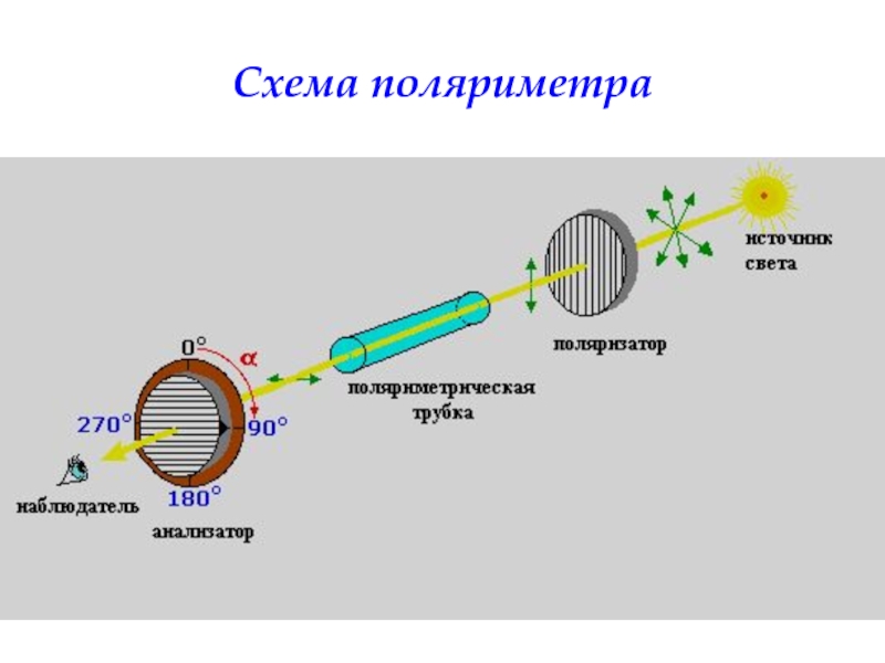 Изобразите оптическую схему поляриметра