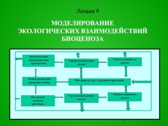 Моделирование экологических взаимодействий биоценоза