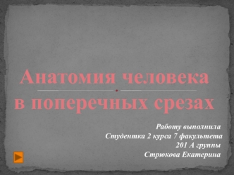 Анатомия человека в поперечных разрезах