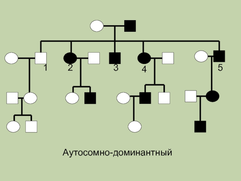 Аутосомно доминантный тип наследования схема