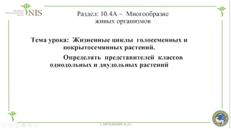 Жизненные циклы голосеменных и покрытосемянных растений