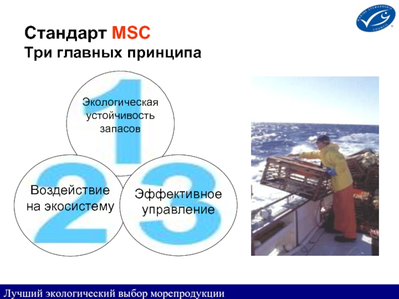 Три главных принципа. Морского попечительского совета (MSC). MSC стандарт. 3 Главных принципа. Морской попечительский совет.