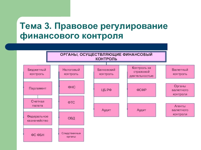 Финансовый контроль бюджетный процесс