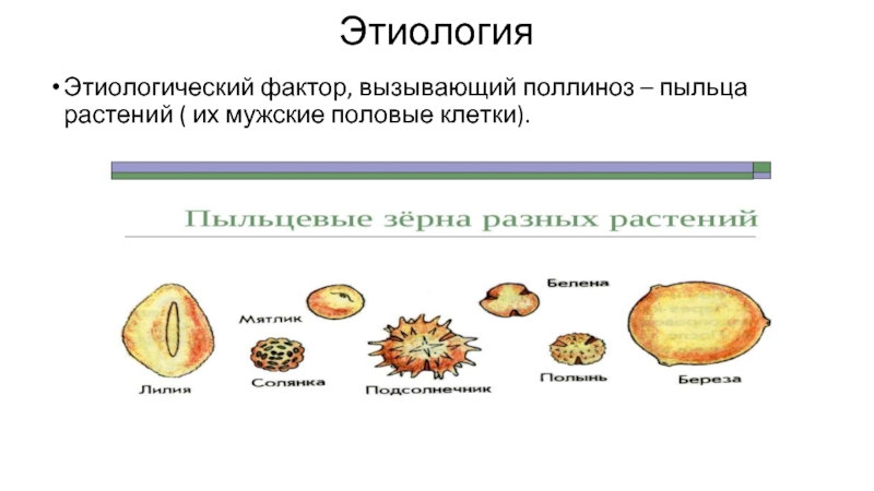 Пыльца растений карта