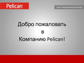 Добро пожаловать
 в 
Компанию Pelican!