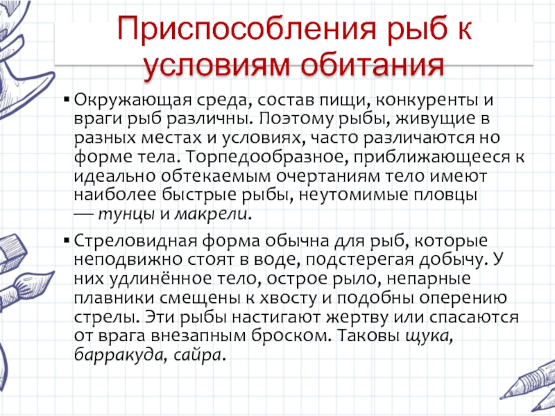 Приспособления рыб к условиям обитания значение рыб презентация