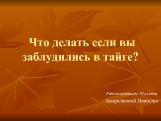 Что делать если вы заблудились в тайге?