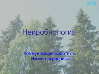 Нейробиология