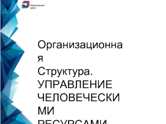 Организационная структура. Управление человеческими ресурсами