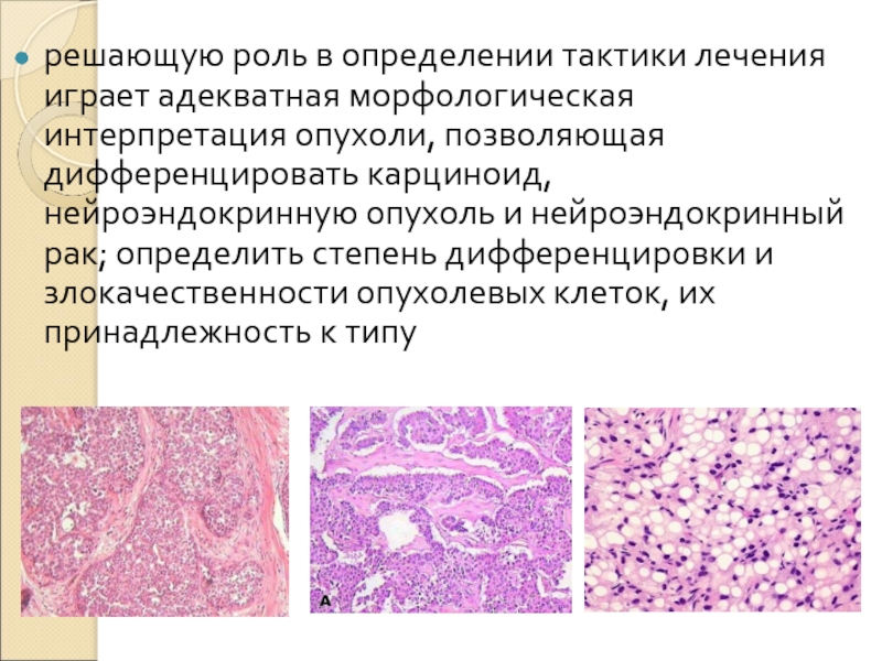 Карциноид. Нейроэндокринная опухоль гистология. Нейроэндокринная аденокарцинома. Карциноид легкого гистология. Карциноид червеобразного отростка гистология.