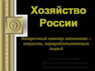 Хозяйство России. Вторичный сектор экономики. Отрасли, перерабатывающие сырьё