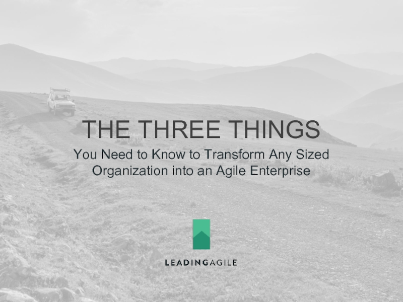 THE THREE THINGSYou Need to Know to Transform Any Sized Organization into an Agile Enterprise