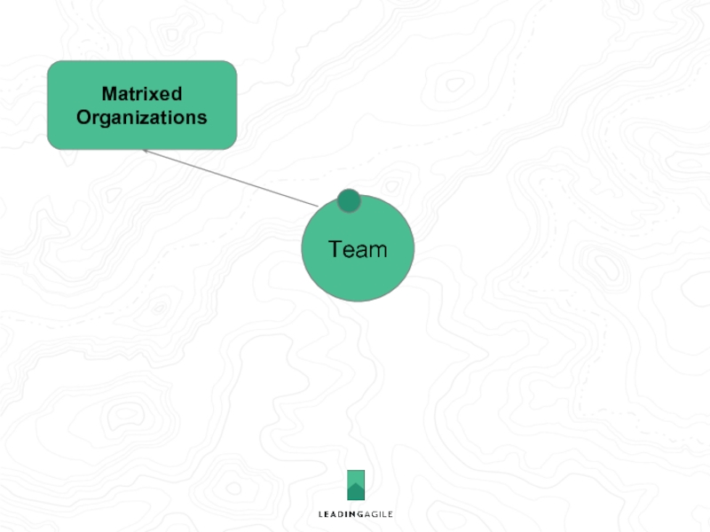 Matrixed Organizations Team