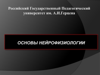 Основы нейрофизиологии