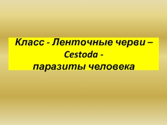 Класс Ленточные черви (Cestoda) - паразиты человека