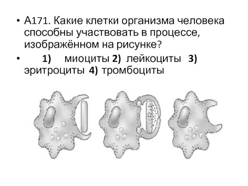 Укажите какой процесс изображен на рисунке