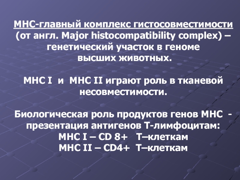MHC-главный комплекс гистосовместимости(от англ. Major histocompatibility complex) –генетический участок в геноме