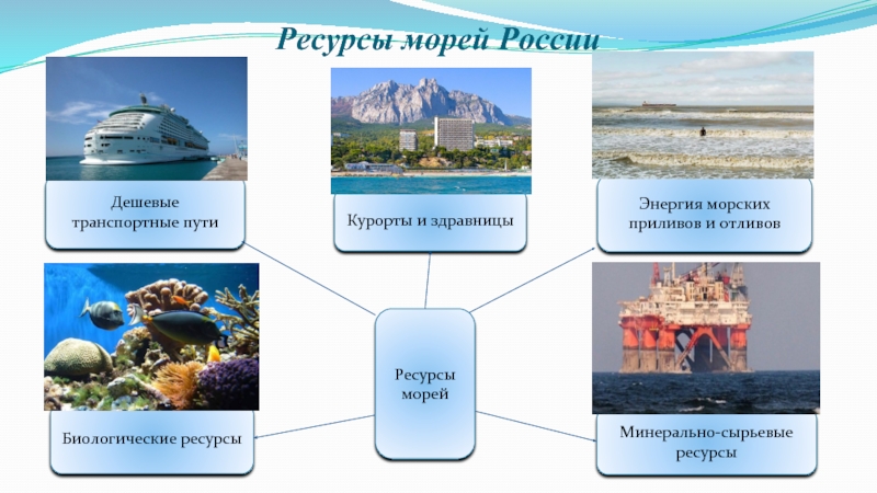 Ресурсы черного. Биологические ресурсы морей России. Минерально-сырьевые ресурсы морей России. Транспортные ресурсы морей России. Энергетические ресурсы морей России.