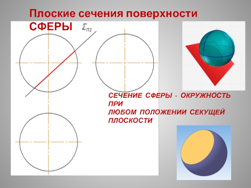 Сфера окружность. Сечение поверхности. Докажите что сечение сферы плоскостью есть окружность. Большие окружности на сфере. Что представляет собой сечение сферы.