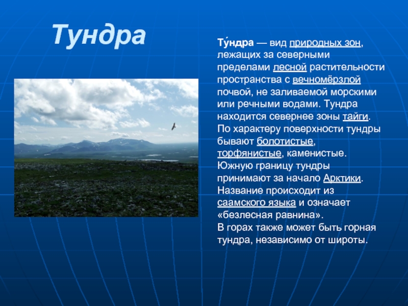 Описание природной зоны тундра по плану 8 класс география