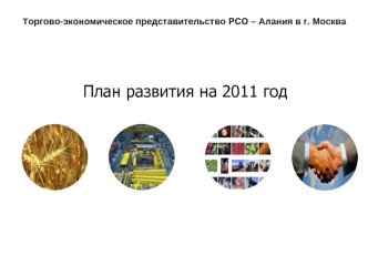 План развития на 2011 год