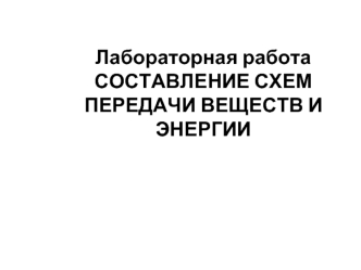 Лабораторная работа. Составление схем передачи веществ и энергии