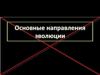 Основные направления эволюции