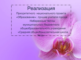 Реализация 
Приоритетного  национального проекта   
  Образование:  лучшие учителя города     
    Набережные Челны 
муниципального бюджетного    
      общеобразовательного учреждения 
      Средняя общеобразовательная школа №11