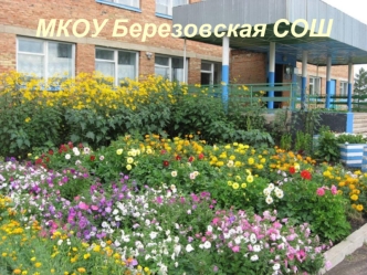 МКОУ Березовская СОШ