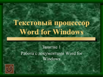 Текстовый процессорWord for Windows