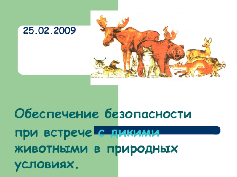 Презентация на тему обеспечение безопасности при встрече с дикими животными в природных условиях